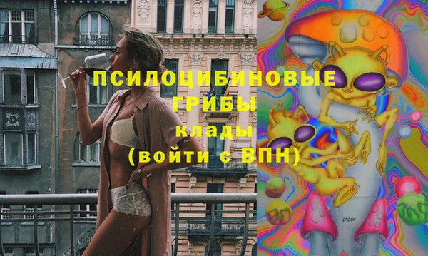 винт Алексин